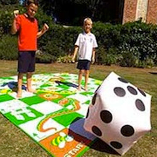 Giant Snakes and Ladders