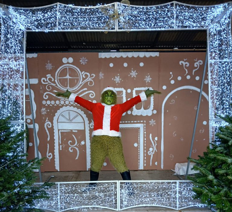 Grinch gingerbread set