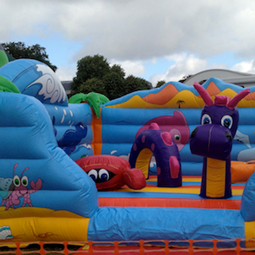 Palm Island Bouncy Castle