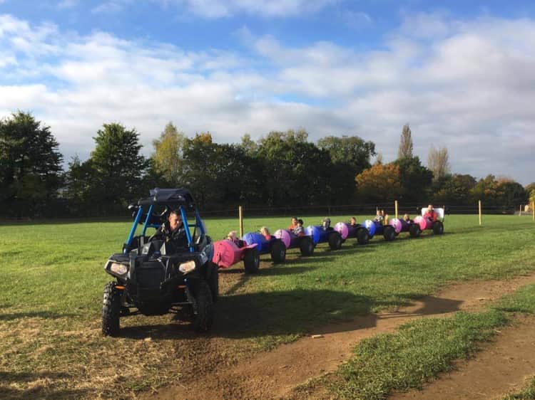Barrel Train Rides